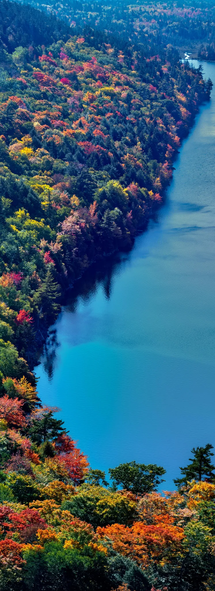altitude-pexels-skyler-ewing-266953-4738370-cropped.webp