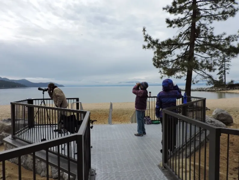 bald-eagle-survey.webp