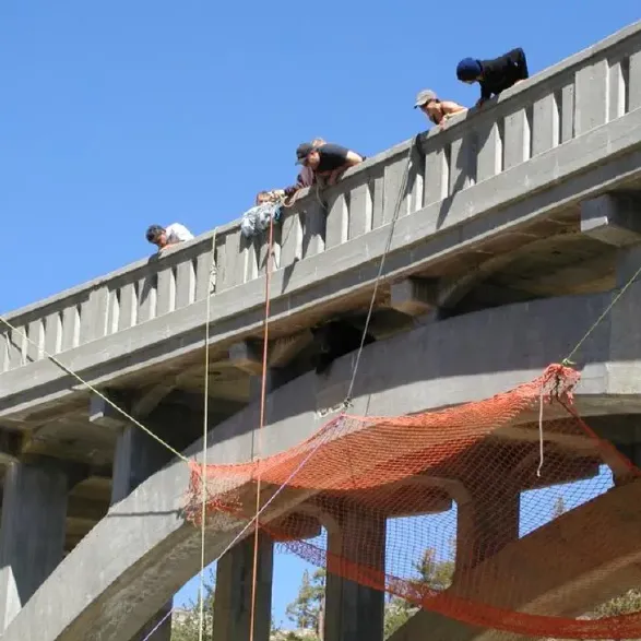 bear-bridge-rescue-bear-league-728x728.webp