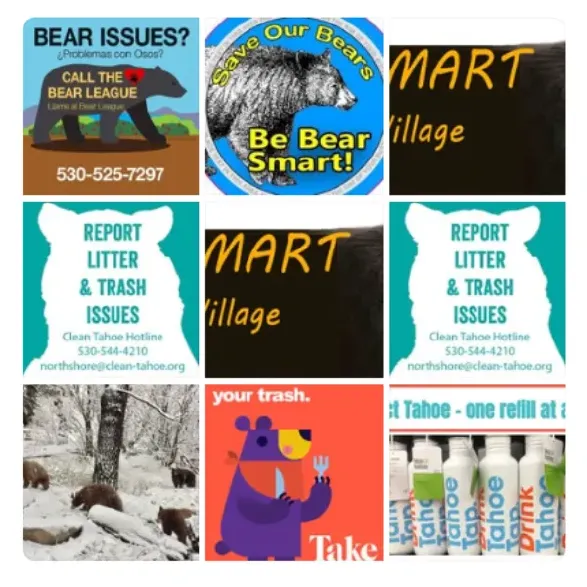bear-smart-fb-600x600.webp