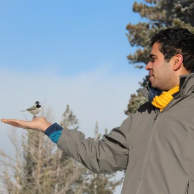 chickadee-ridge-rohit-bakshi-sq.webp