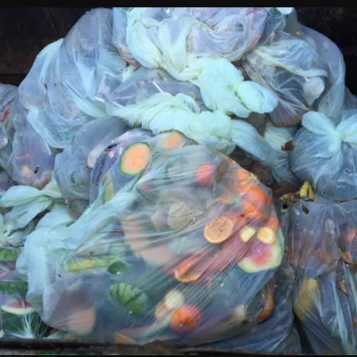 compost-lake-tahoe-resort-sq.webp