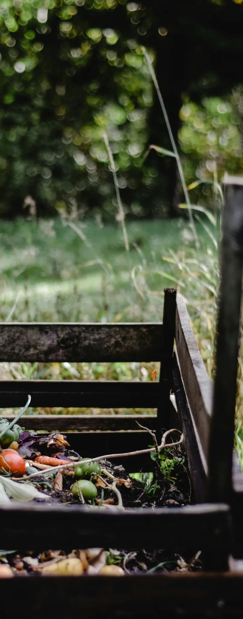 composting-pexels-eva-bronzini-5503338-cropped.webp
