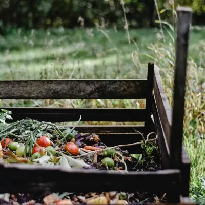 composting-pexels-eva-bronzini-5503338-sq.webp