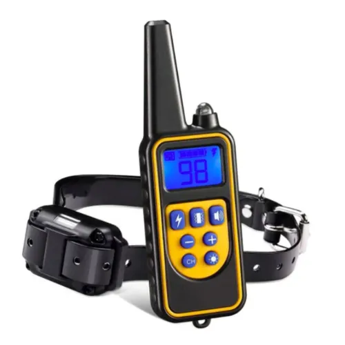 e-training-collar.webp