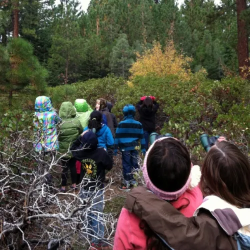 elementary-birding-club-500x500.webp