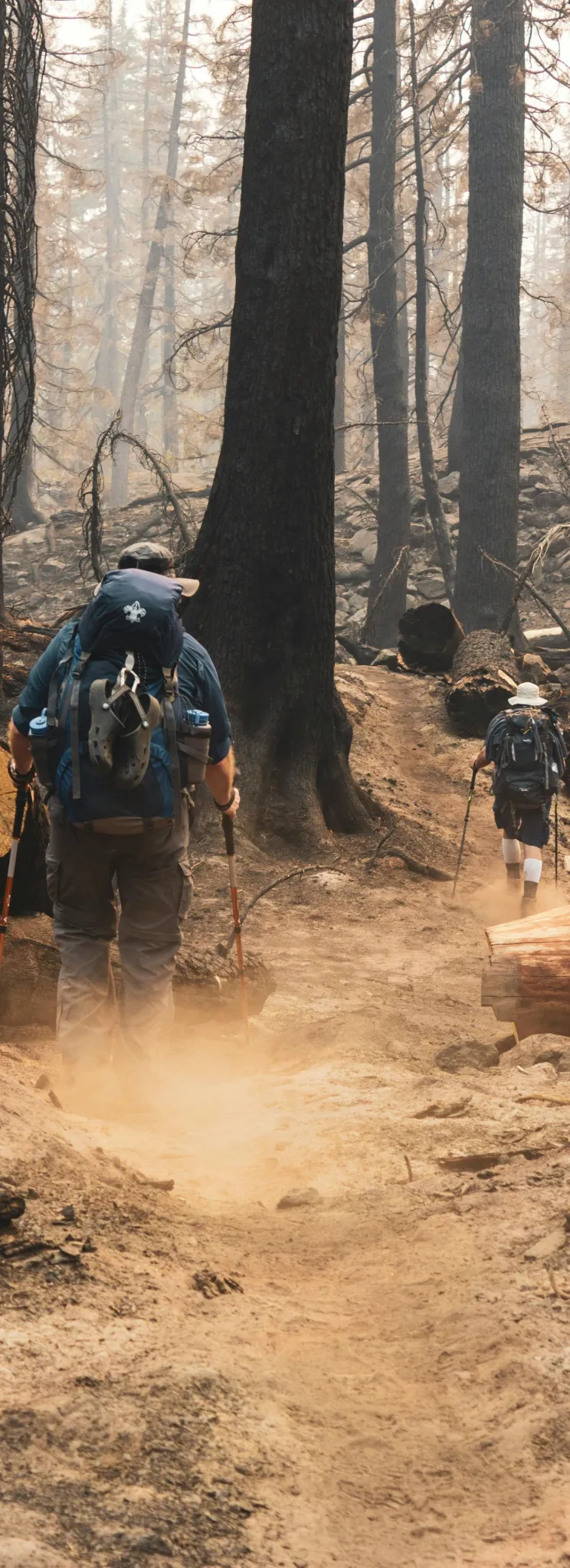 forest-fire-pexels-sanmane-1365427-cropped.webp