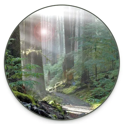 gordon-hempton-one-square-inch-of-silence-500x500.webp