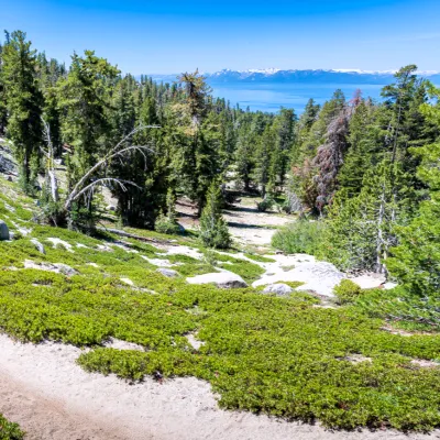 hiking-mt-rose-megan-delehanty-sq.webp