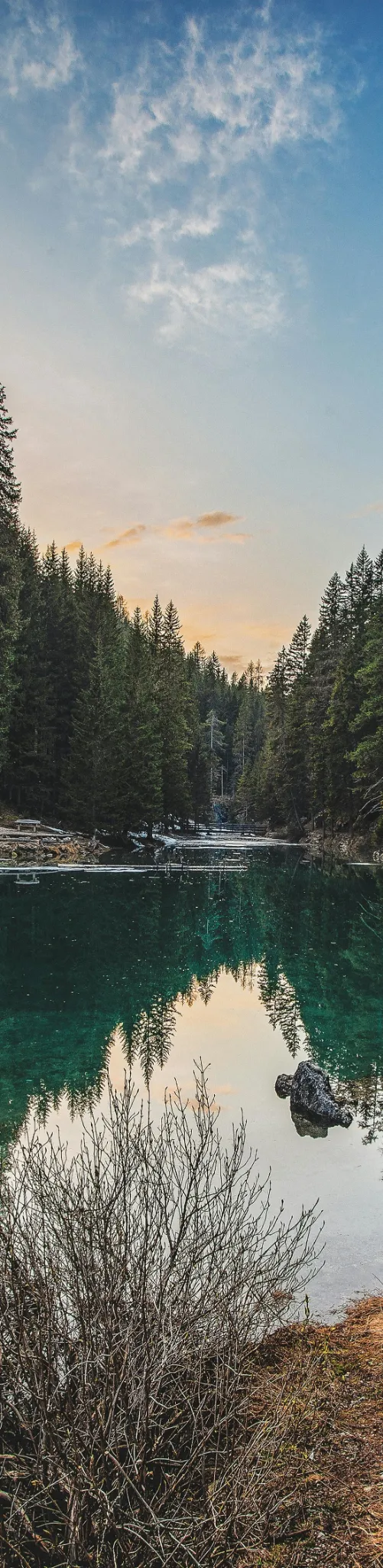 pexels-eberhardgross-2217365-cropped.webp