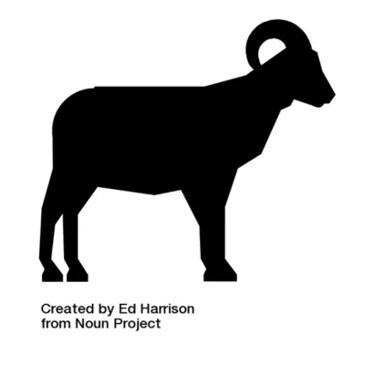ram.webp