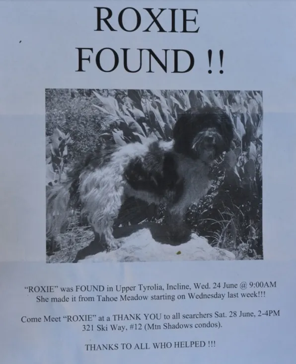 roxie-found-poster.webp