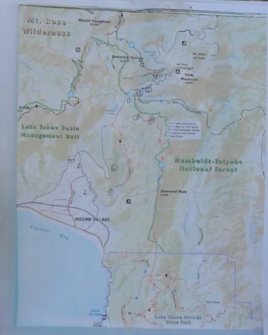 roxie-map-of-where-lost.webp