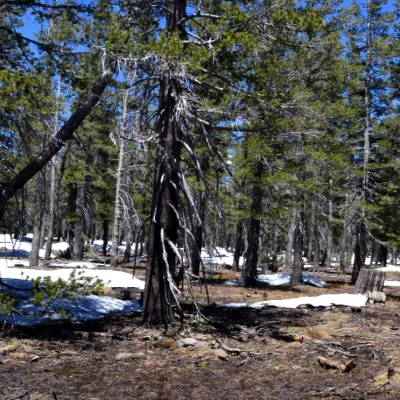 roxie-mt-rose-terrain-sq.webp