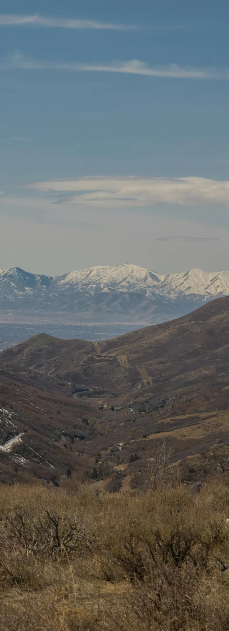 salt-lake-city-landscape-pexels-meghanmarron-10688616-cropped.webp