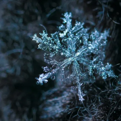 science-of-snow-pexels-ekamelev-813872-sq.webp
