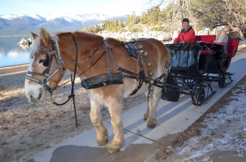 sleigh-ride-sand-harbor.webp