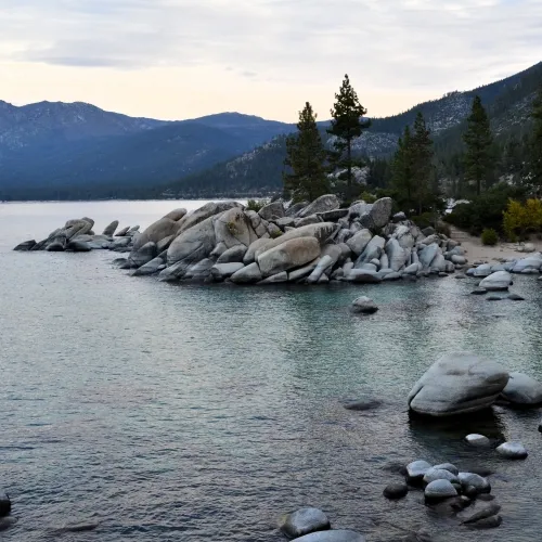 trees-at-sand-harbor-500x500.webp